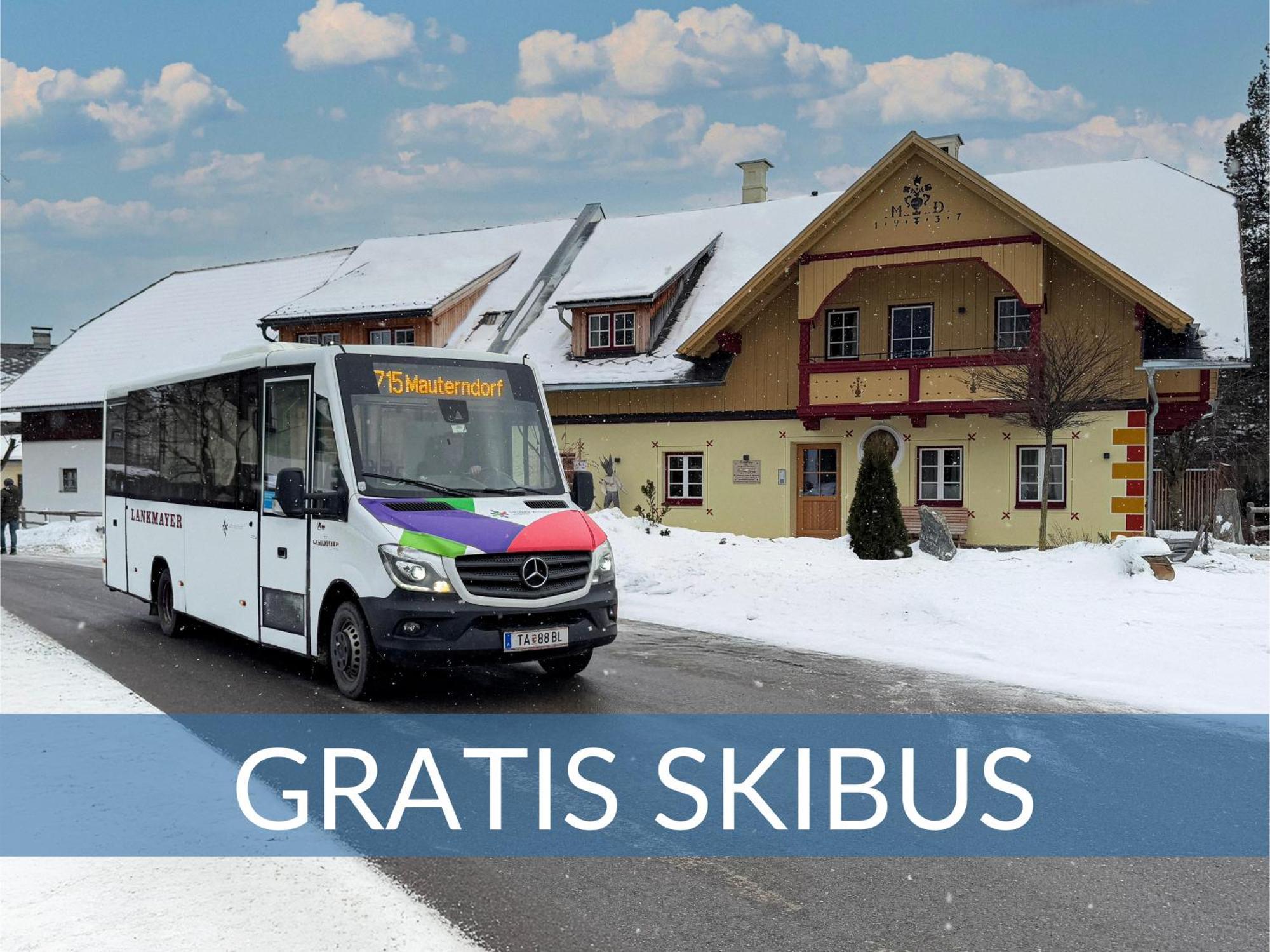 Heimathaus Dengg - Ferienwohnungen - Sommerfrische In Den Alpen Mauterndorf  Buitenkant foto