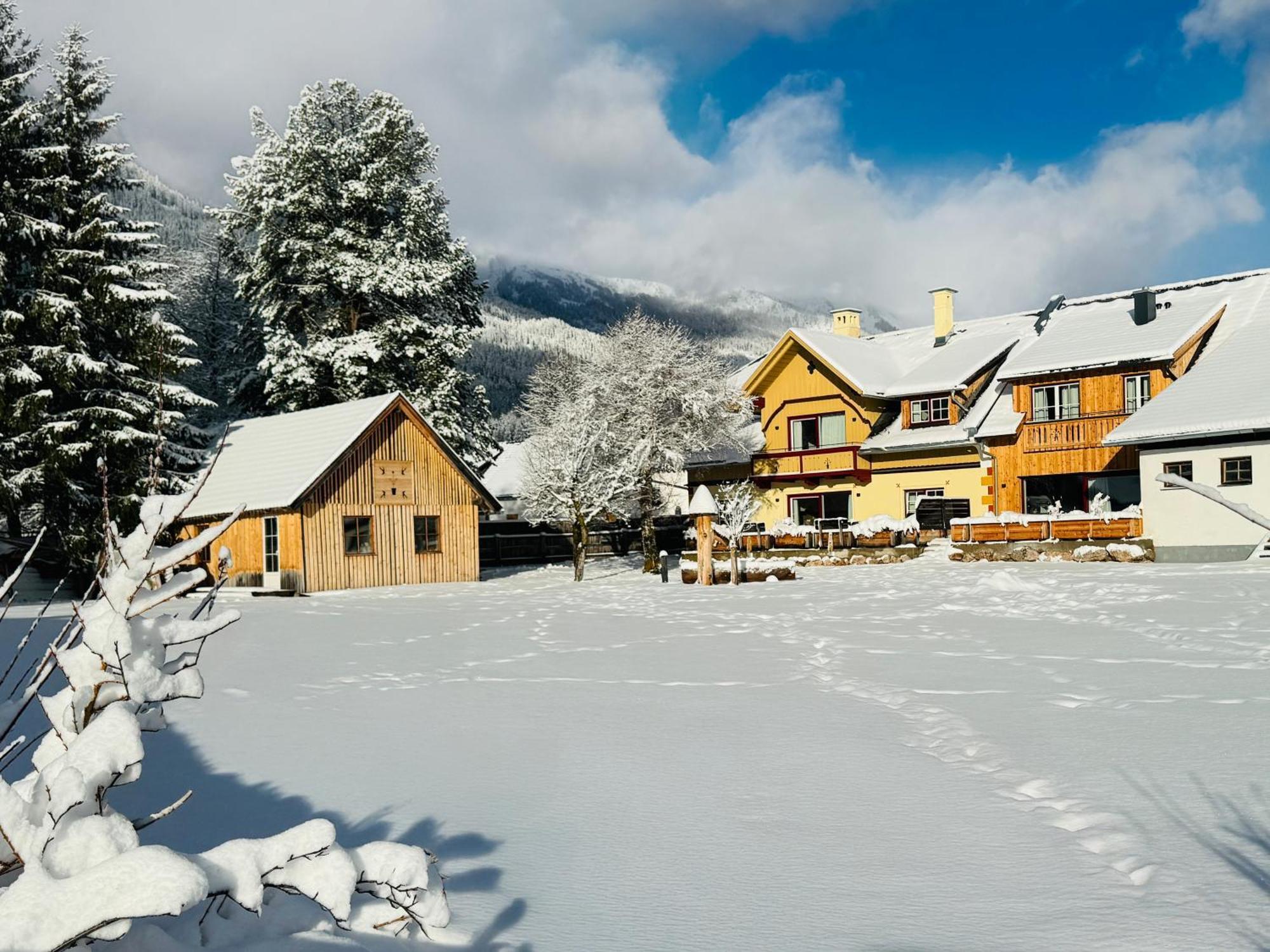 Heimathaus Dengg - Ferienwohnungen - Sommerfrische In Den Alpen Mauterndorf  Buitenkant foto