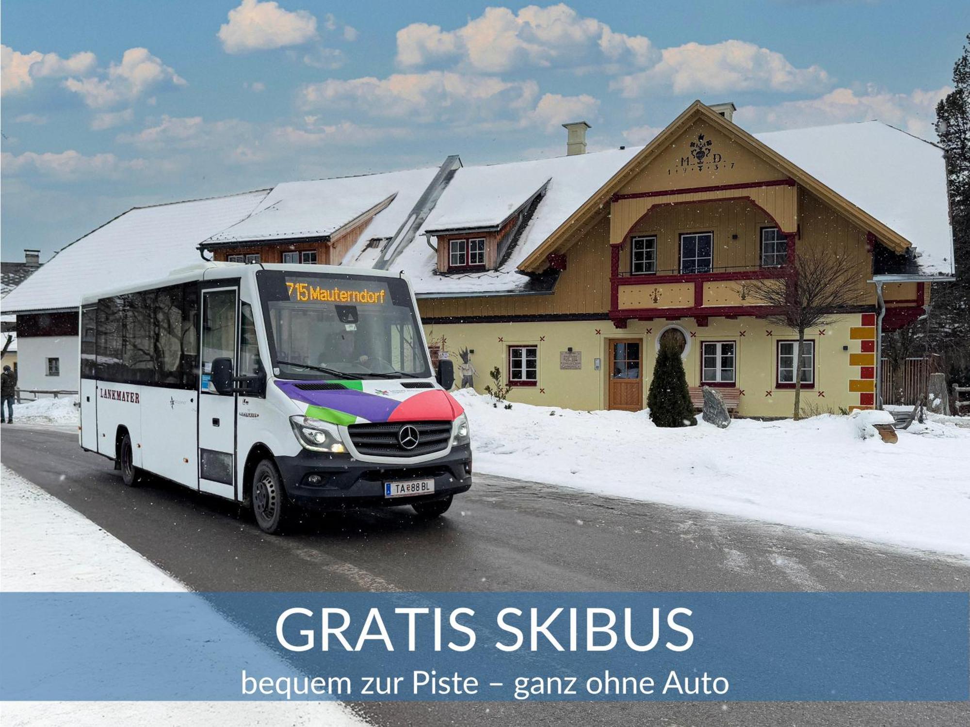 Heimathaus Dengg - Ferienwohnungen - Sommerfrische In Den Alpen Mauterndorf  Buitenkant foto